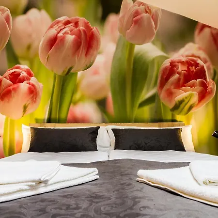 Bed and Breakfast Lipa Μόσταρ